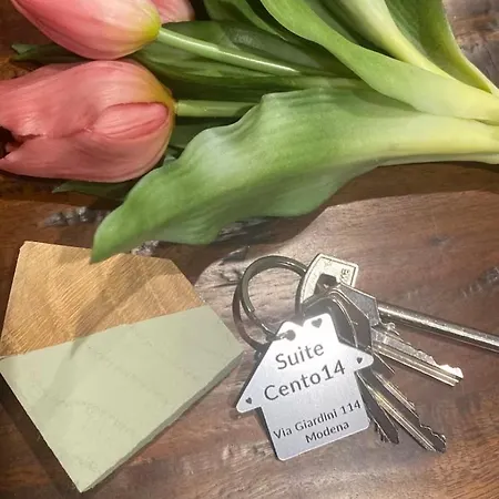 Apartment Cento14 Di Fronte Casa Di Cura Fogliani Vicino Centro Storico Parcheggio Privato